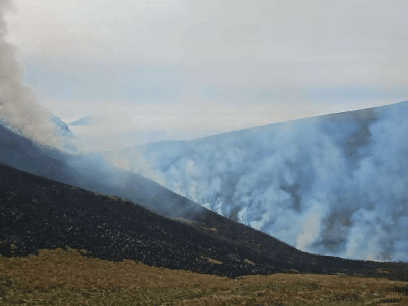 Incendio forestal cerca de la Reserva Ilinizas moviliza a bomberos en El Chaupi