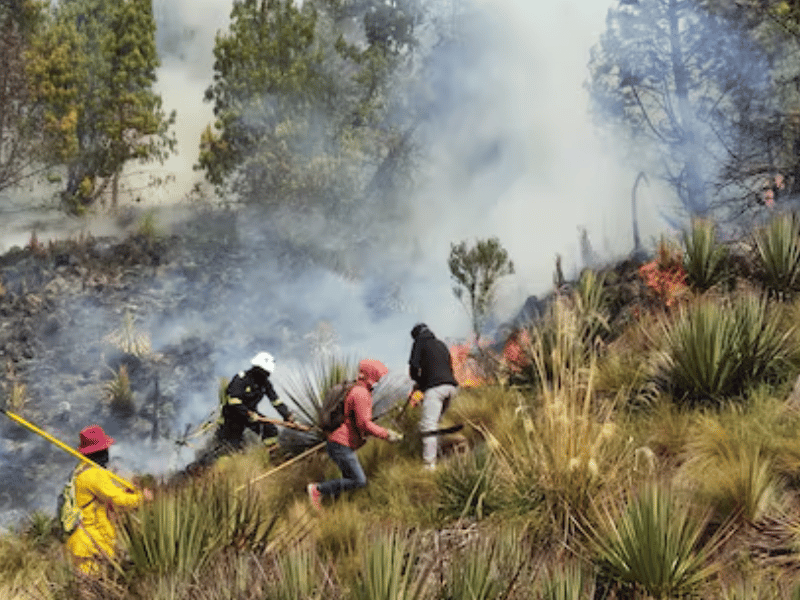 Identifican a cuatro responsables de incendios forestales en Azuay