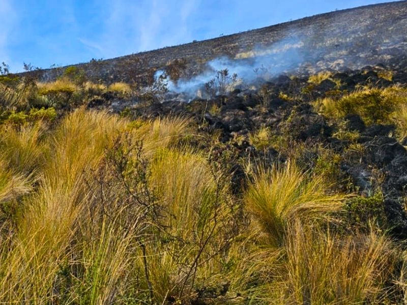 Incendio forestal en la Reserva de los Illinizas es controlado