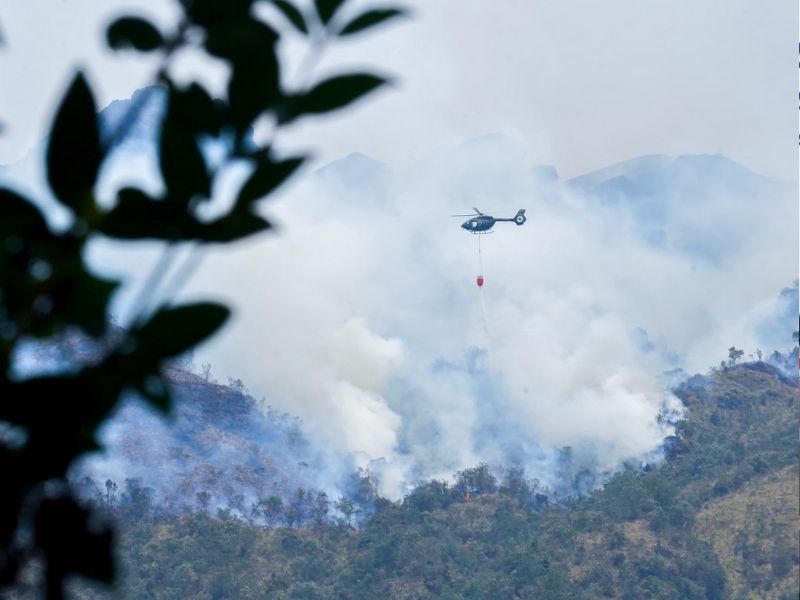 Desgarrador incendio arrasa el Parque Nacional Cajas: bomberos luchan contra el fuego en su tercer día