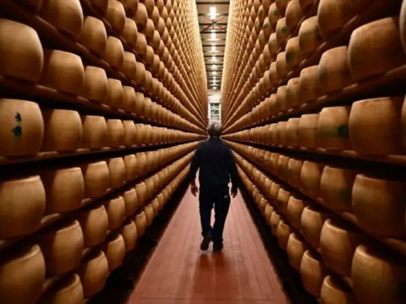 El robo del siglo… de queso: las 22 toneladas de cheddar gourmet que desaparecieron sin dejar rastro