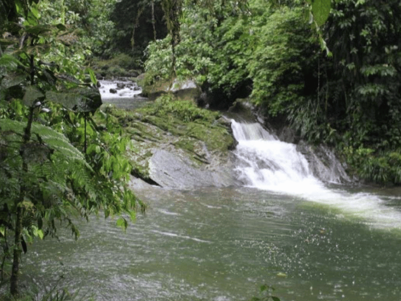 La Reserva Río Anzu es reconocida como la primera OMEC en Ecuador