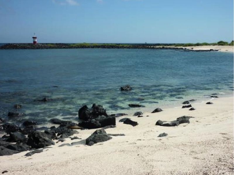 ¡Alerta en Galápagos! San Cristóbal enfrenta sanción por contaminación en playas icónicas