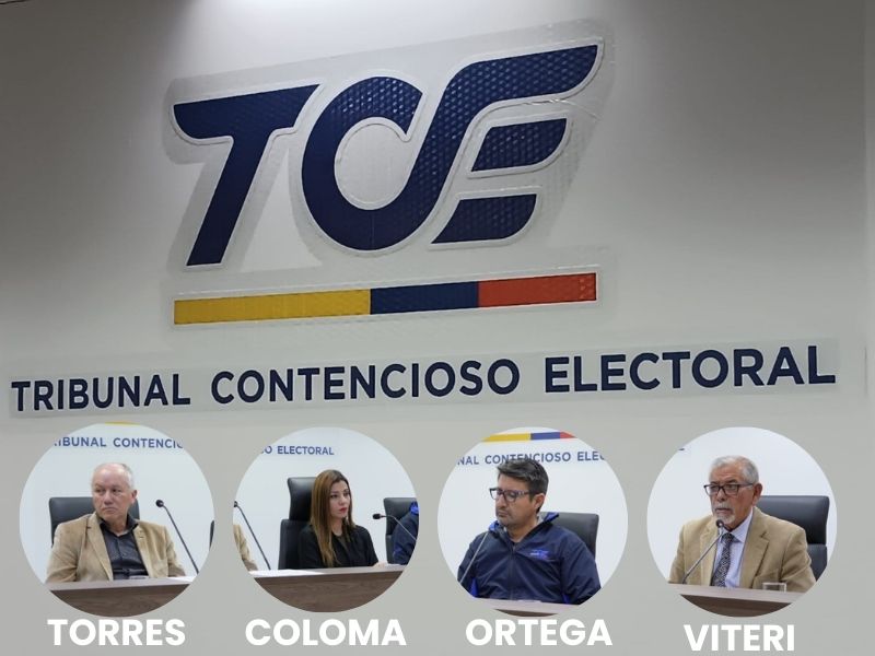 Aberrantes argumentos del TCE para descalificar candidatura de Jan Topic