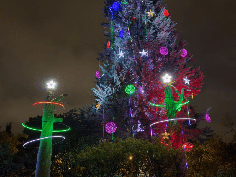 Quito: Jardín Botánico encendió el árbol de navidad más grande de América