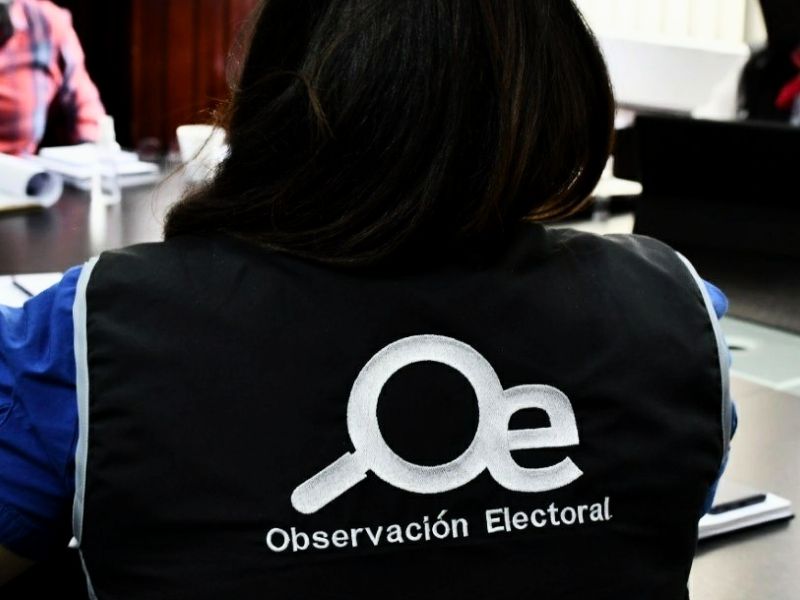 El CNE invita a compatriotas en el exterior a ser observadores en elecciones 2025