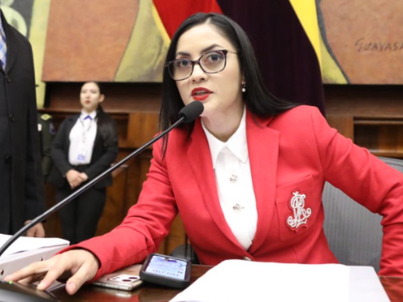 Viviana Veloz arremete contra la Corte Constitucional 