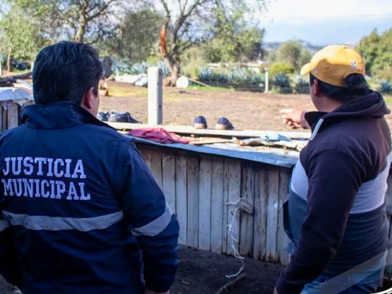 Horror en Latacunga: mujer ahorca a sus tres perros frente a un menor de edad