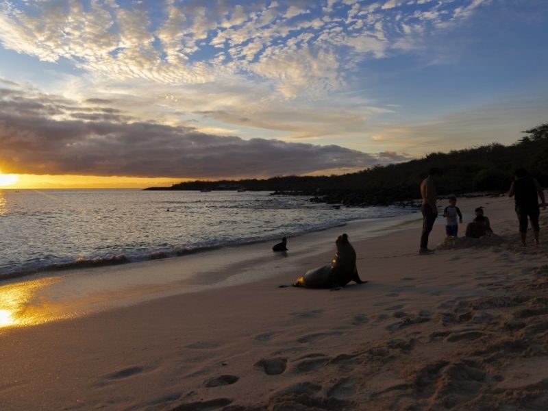 Revocan cierre temporal de Playa Mann en Galápagos