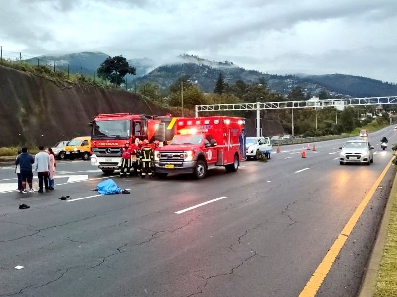 Tragedia en la Ruta Viva: adulto mayor muere atropellado y conductor huye