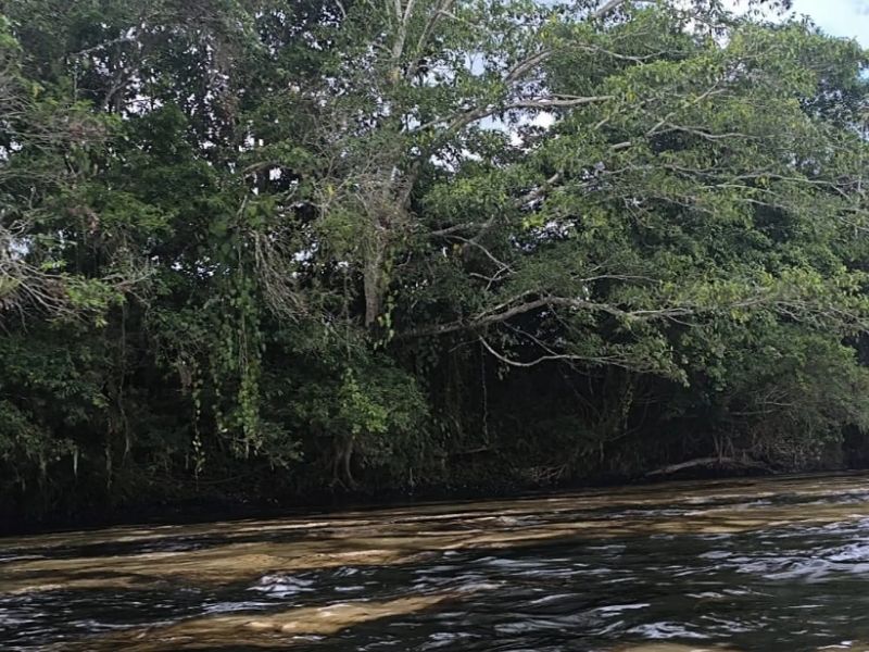 Desastre ecológico en Esmeraldas: dos ríos ‘muertos’ y comunidades sin agua tras derrame petrolero