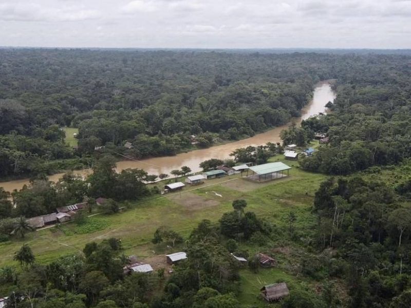 Yasuní: la joya acuática de Ecuador con más de 450 especies de peces