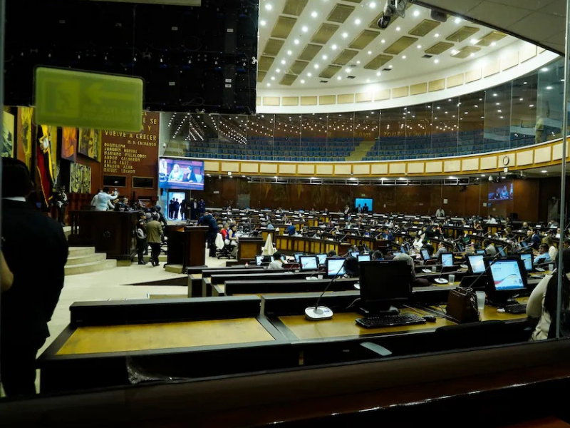 Nueva Asamblea Nacional de Ecuador para el período 2025-2029: Composición y detalles