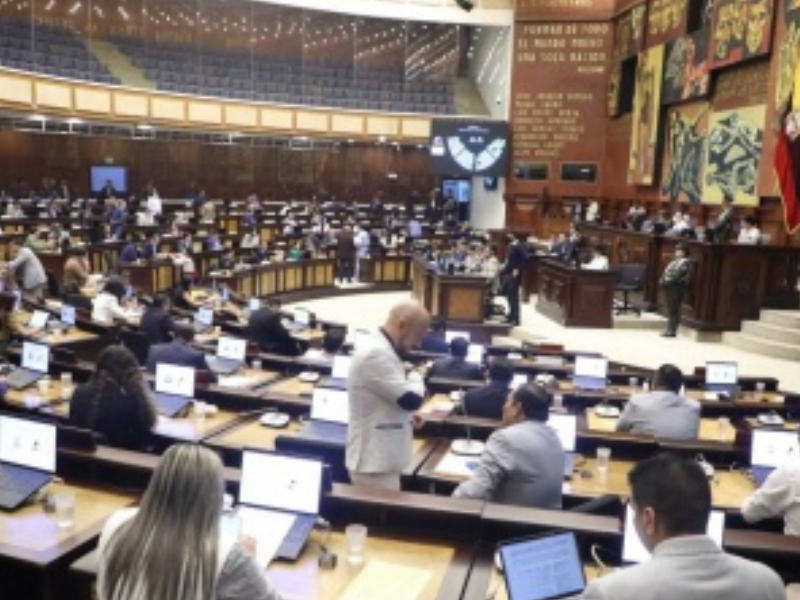 Asamblea Nacional debate proyecto de ley para combatir economías criminales
