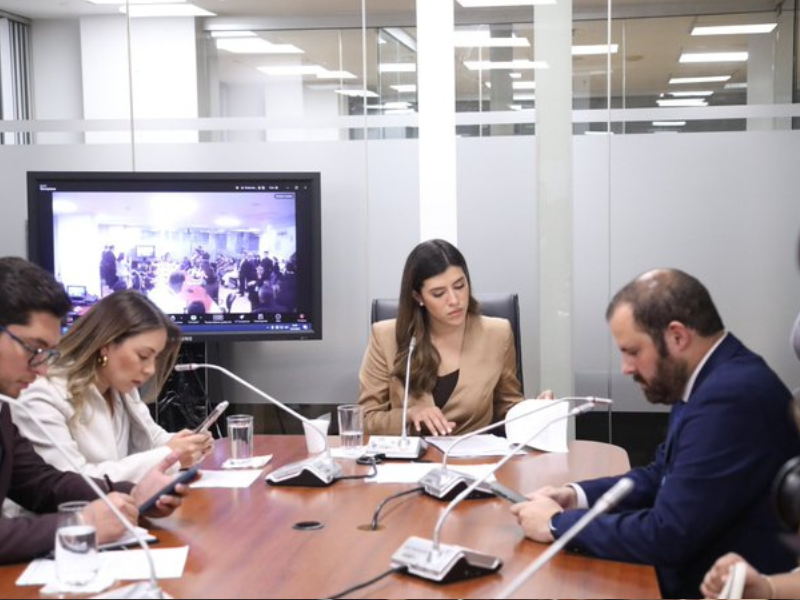 Asamblea analiza ley para combatir economías criminales