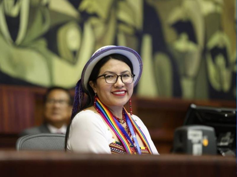 Fractura en Pachakutik: seis de sus nueve asambleístas pactaron con ADN y desataron una crisis interna