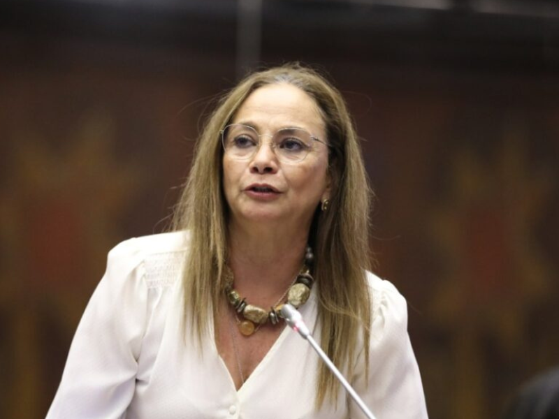 Pierina Correa se retira de la política tras desacuerdo legislativo