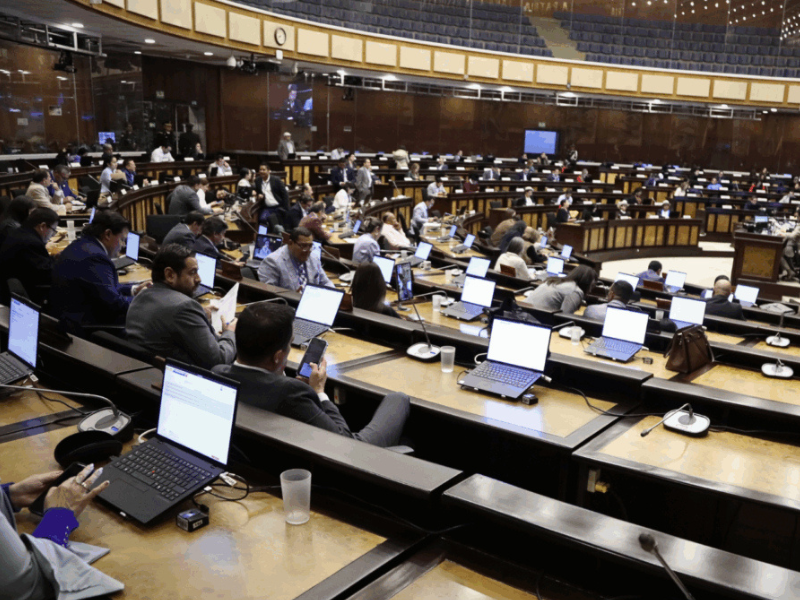 La mayoría de los legisladores no cuenta con títulos de alto nivel académico