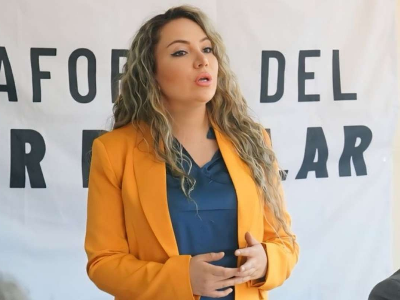 TCE ratifica sanción contra Priscila Schettini, impidiéndole asumir como asambleísta