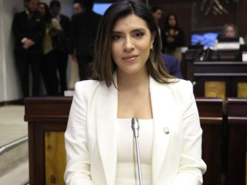 ADN asegura que Revolución Ciudadana no liderará comisiones en la Asamblea Nacional