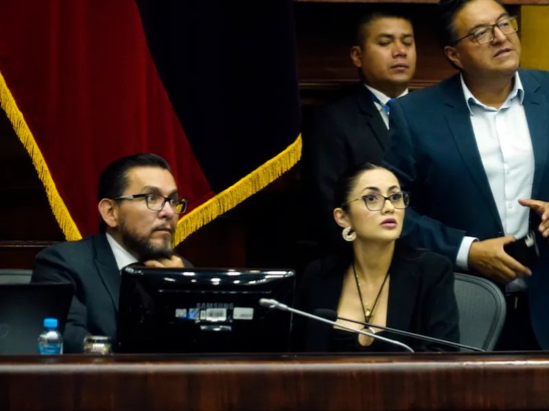 Viviana Veloz busca presidir la Asamblea Nacional