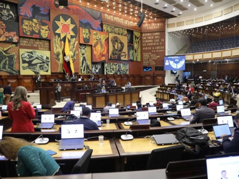 Anabella Azín lidera lista de candidatos para presidir la Asamblea Nacional