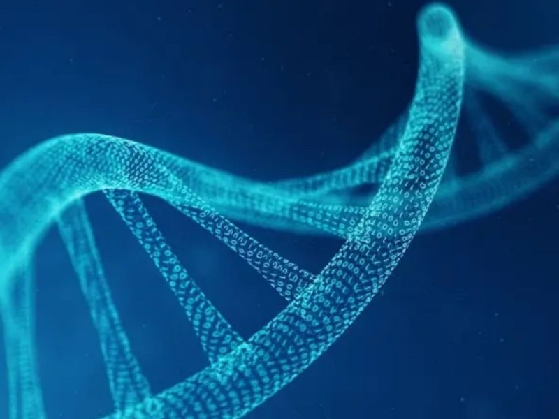 Crean proyecto para construir ADN humano desde cero