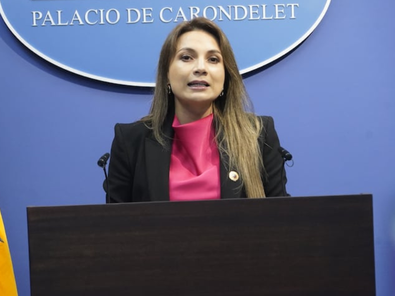 Gobierno garantiza suministro eléctrico y suma energía nuclear a la matriz nacional