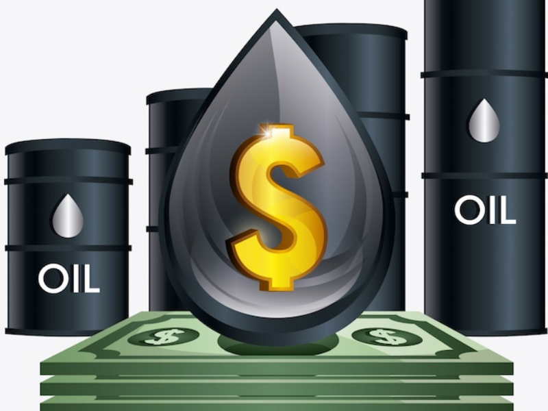 Caída de ingresos petroleros afecta ejecución del presupuesto estatal