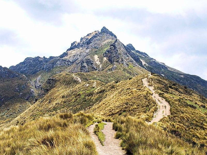 Tres excursionistas extraviados en el Rucu Pichincha fueron rescatados sin lesiones