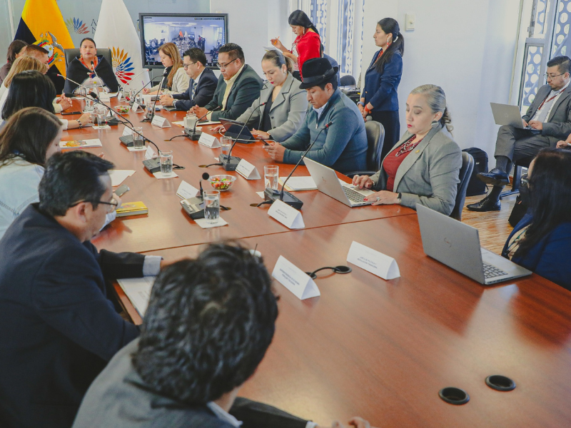 Comisión de Educación unifica propuestas para reformar ley de educación intercultural