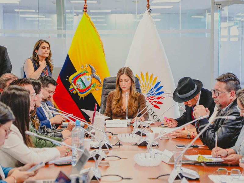 Comisión analiza reformas para fortalecer política exterior y defensa nacional