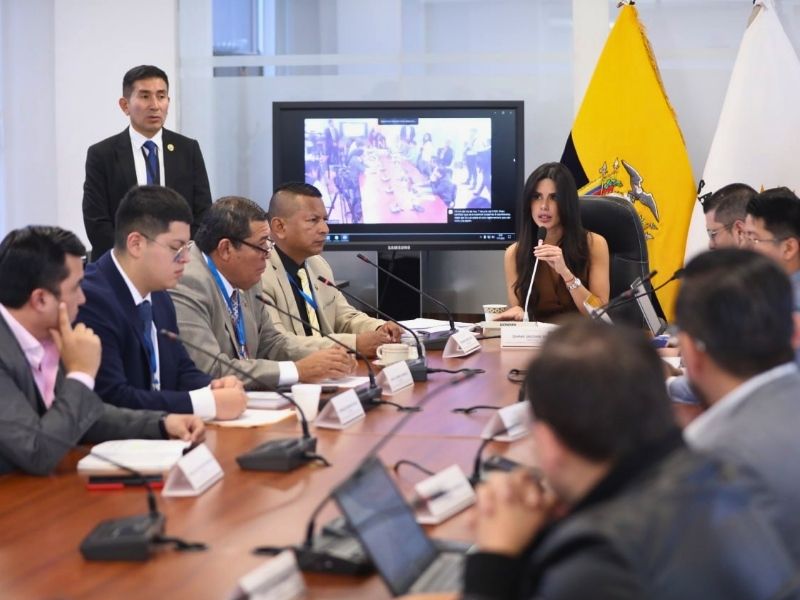 Oficialismo arrebata al correísmo investigación sobre bonos del Gobierno: CAL traslada caso a comisión afín a Noboa