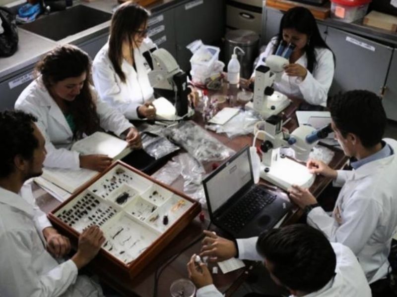 Ecuador anuncia 60 becas para estudiar en Marruecos