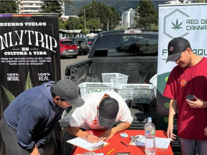 Crece el debate en Ecuador sobre la posible legalización del cannabis recreativo