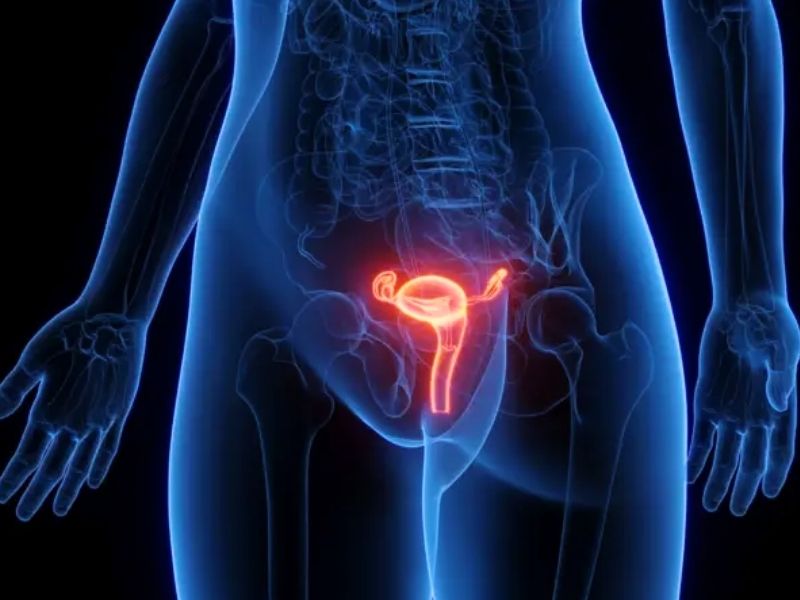 Del mito del útero errante a la ciencia: así se mueve realmente el cuerpo femenino