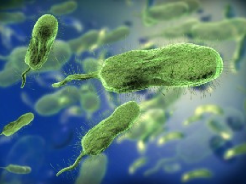 Alarma sanitaria en EE.UU. por aumento récord de infecciones graves con la bacteria ‘come carne’