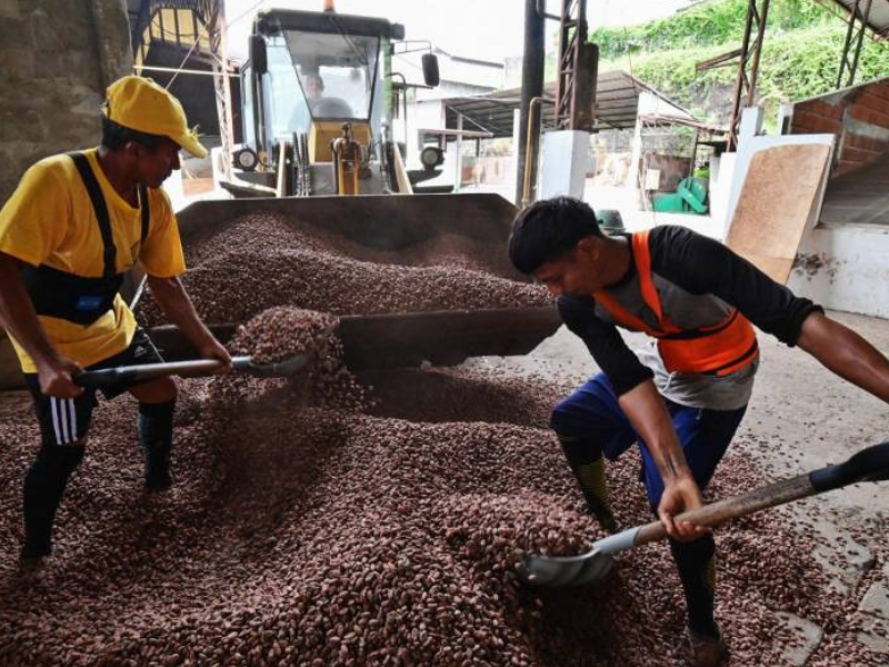 Ecuador registra un crecimiento del 10% en exportaciones no petroleras en el primer semestre de 2025